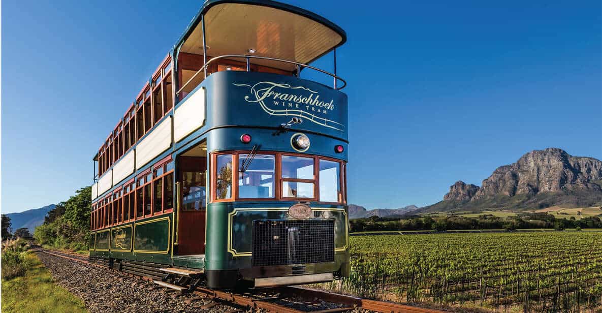 From Cape Town: Franschhoek Wine Tram Hop-on Hop-off | GetYourGuide