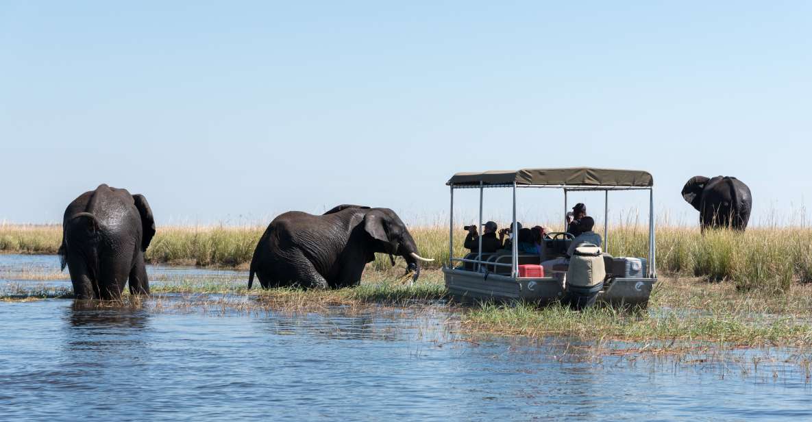 Chobe National Park: Day Trip with River Cruise | GetYourGuide