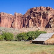 From Salt Lake City: Private Capitol Reef National Park Tour | GetYourGuide