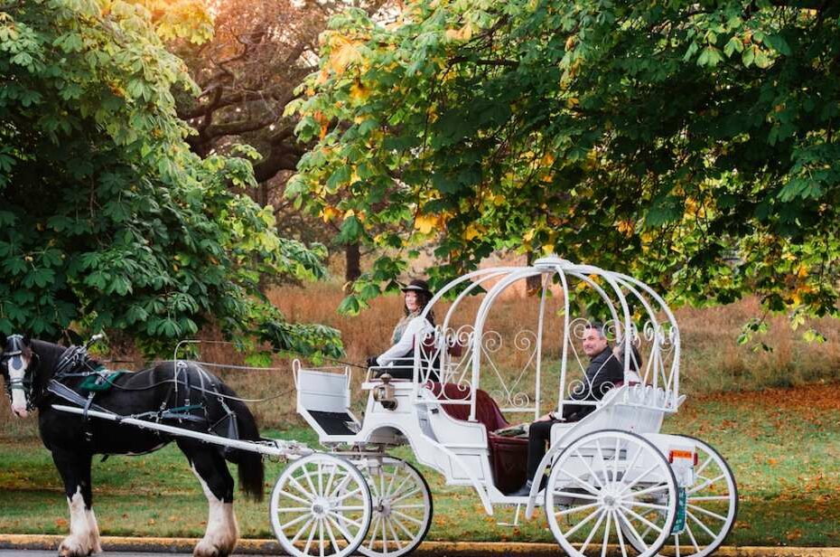 Victoria: Carriage Tour of James Bay and Beacon Hill Park