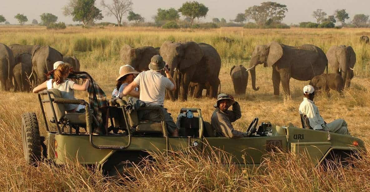Victoria Falls Safari with Lunch and Sunset Cruise | GetYourGuide