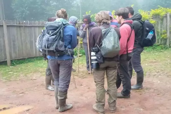 1 Day Gorilla trekking in Rwanda Tour