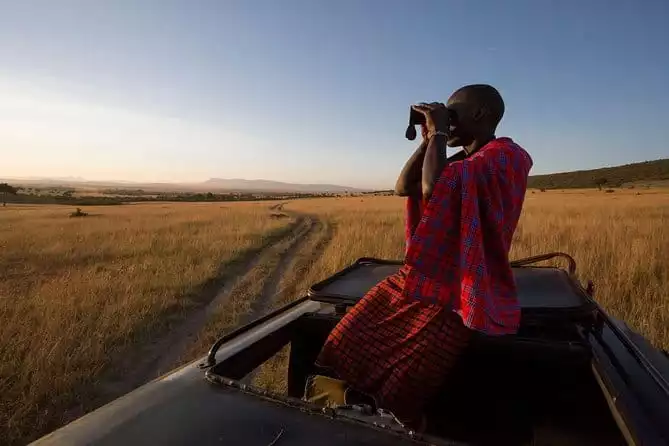 1 Day Maasai Mara Safari