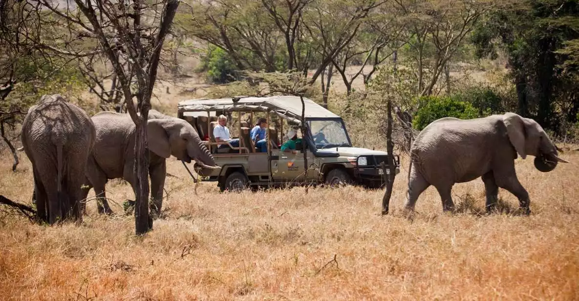 3-Day Maasai Mara Luxury Safari - Experience Kenya by Air | GetYourGuide