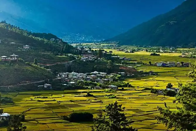 Glimpses of Bhutan - 4 Days Tour