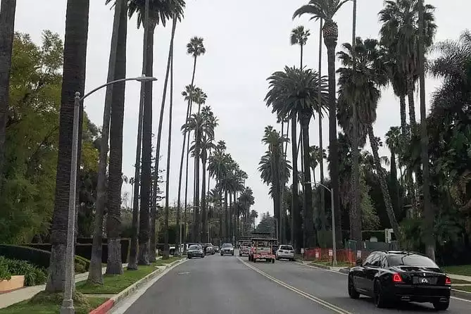 4 Hour Private Tour of Hollywood and Beverly Hills from Santa Monica