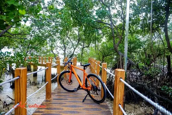 4-hour Bike Rental in Boracay with Self-Guided Bike Tour
