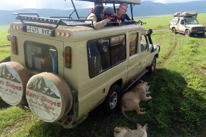 5 Days Camping Tarangire, Serengeti & Ngorongoro crater & Visiting Maasai