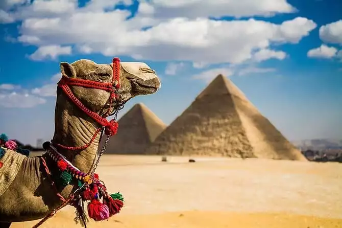 8 Days,Cairo,Alexandria,Aswan,Luxor,Cruise, Abu Simbel,From Cairo By Plane