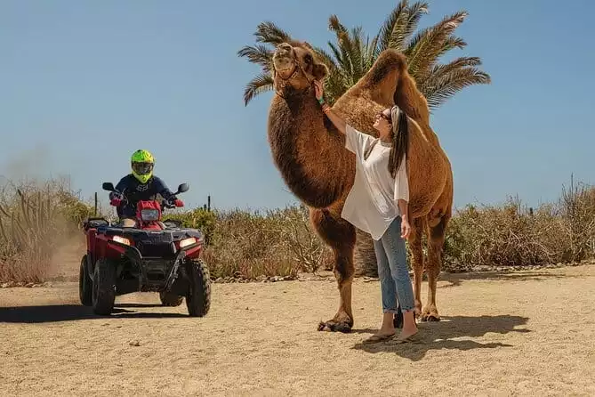 ATV Adventure with Camel Ride and Eco-Farm in Cabo
