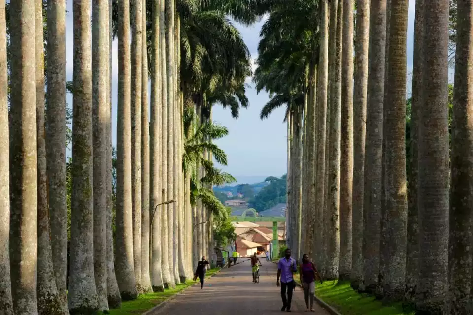 Accra: Aburi Botanical Gardens, Cocoa Farms, Waterfalls Trip | GetYourGuide