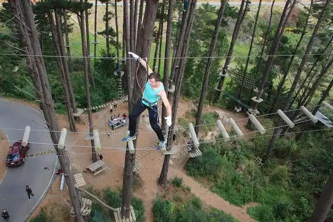 Adrenalin Forest Obstacle Course in Christchurch