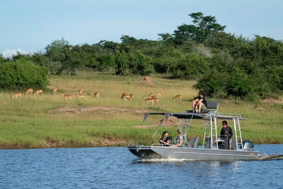 Akagera National Park: Game Drive Day-Trip with Lunch | GetYourGuide