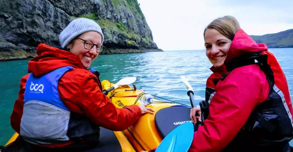 Akaroa: 3-Hour Guided Sunrise Sea Kayaking Safari | GetYourGuide