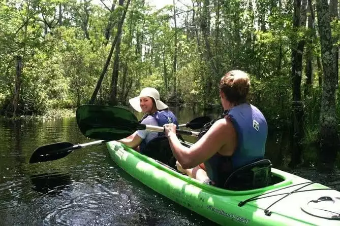Alligator River Kayak Adventure