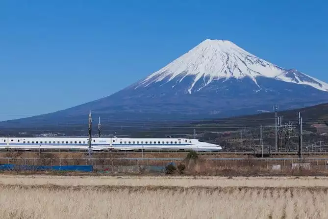 [New Tour 2022] Mt. Fuji & Hakone 1 Day Tour