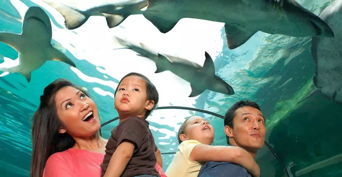 American Dream: SEA LIFE® Aquarium Entry Ticket | GetYourGuide