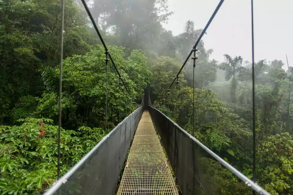 Arenal Hanging Bridges Half-Day Tour from La Fortuna | GetYourGuide