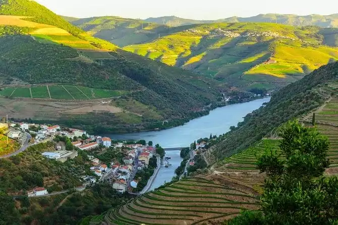Douro Valley Tour: Wine Tasting, River Cruise and Lunch From Porto with Pickup