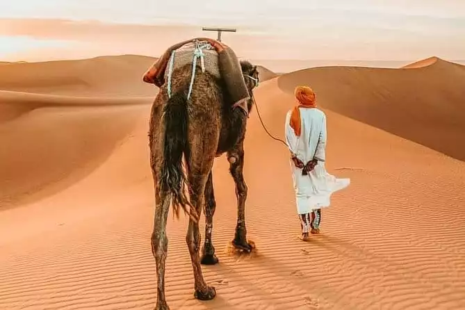Morocco Trips