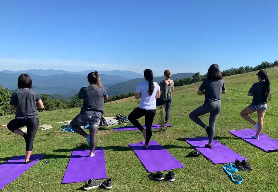 Asheville: Yoga on a Mountain Hike | GetYourGuide