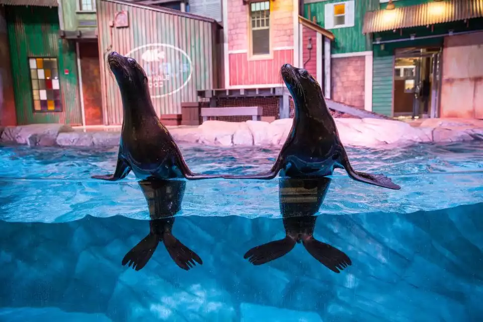 Atlanta: Georgia Aquarium Skip-the-Line Tickets | GetYourGuide