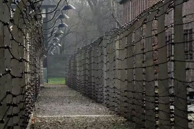 Auschwitz & Birkenau: Live-Guided Tour with Transportation and Hotel Pickup