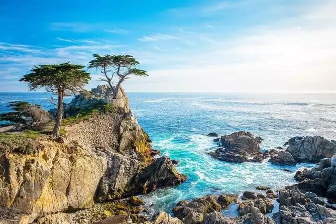 BEST 17-Mile Drive&Carmel&Monterey Day trip from San Francisco