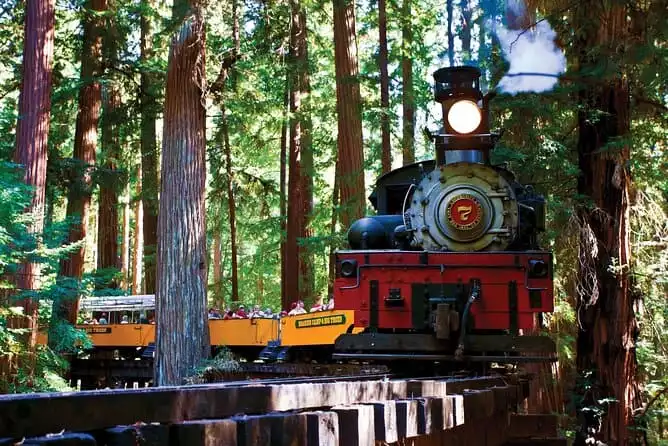 BEST Redwood Forest Steam Train & Santa Cruz Harbor Day Trip from San Francisco