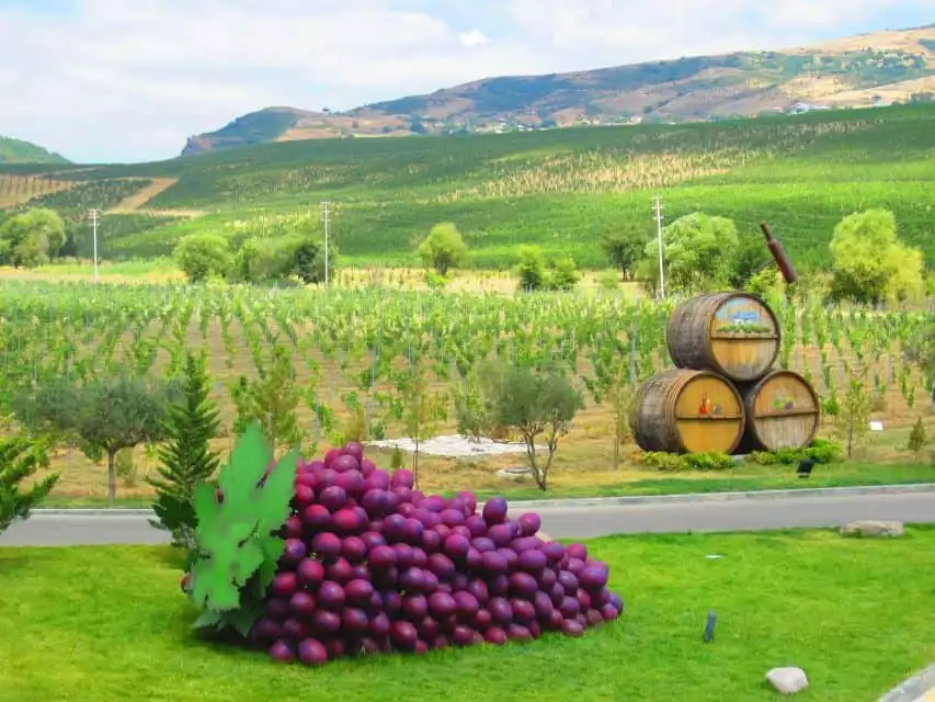 Baku: Organic Winery Tour in Shamakhi with Local Lunch | GetYourGuide