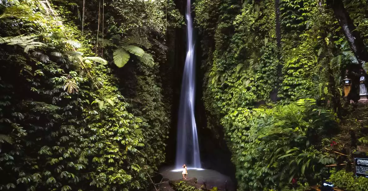 Bali: Leke-Leke Waterfall, Monkey Forest & Jungle Swing Tour | GetYourGuide