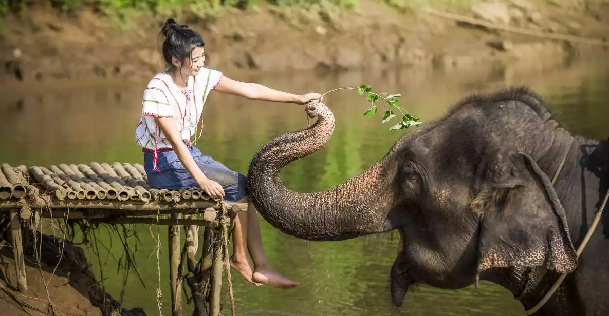 Bangkok: Elephant Sanctuary & Erawan Waterfall Tour | GetYourGuide