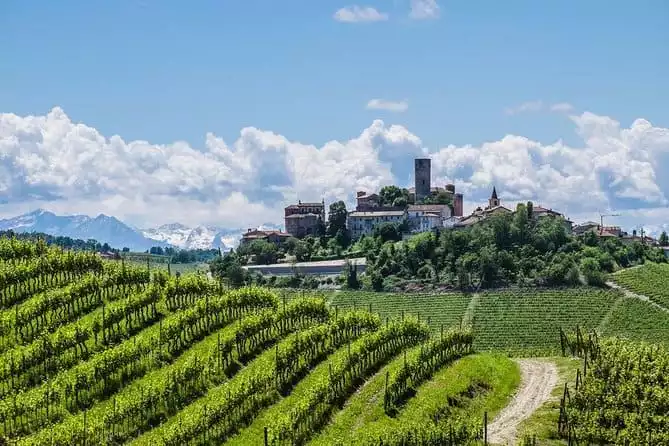 Barolo Wine Tour & Tasting from Turin 2022