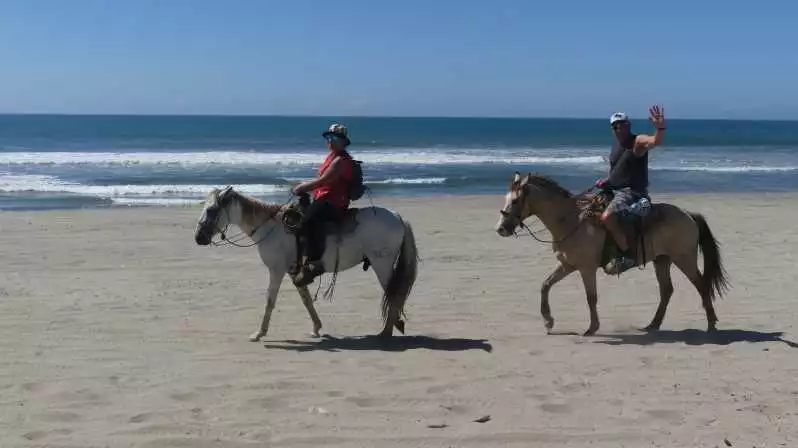 Beach Horse Riding Turtle Release Crocodile Farm Experience | GetYourGuide