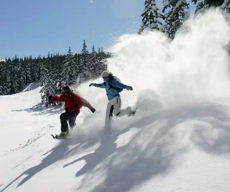 Bend: Half-Day Snowshoe Tour in the Cascade Mountain Range | GetYourGuide