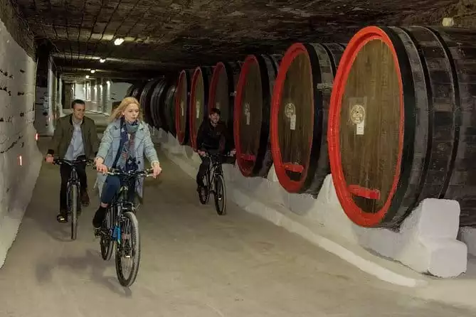 Biking a Guinness Book Winery