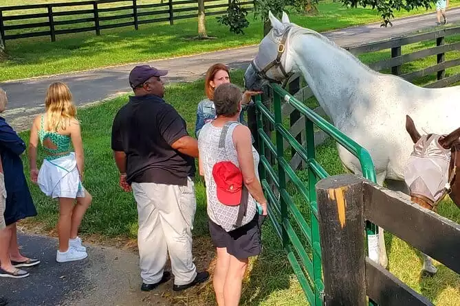 Unique Horse Farm Tours with Insider Access to Private Farms