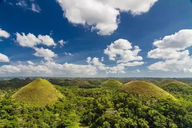 Bohol Highlights Tour: Chocolate Hills, Tarsier Spotting and Loboc River Cruise