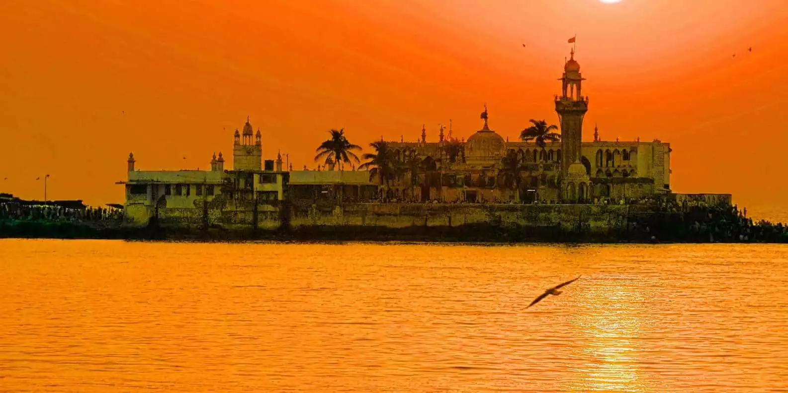 Bombay by Dawn | GetYourGuide