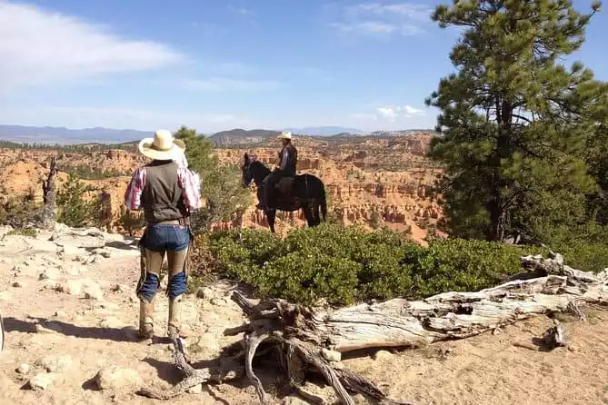 Horseback Riding Experience through Red Canyon with a Guide