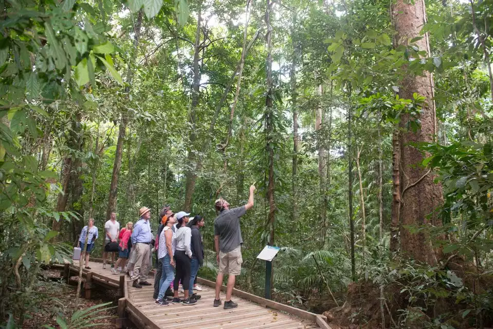 Cairns: Daintree & Cape Tribulation Guided 4WD Tour | GetYourGuide