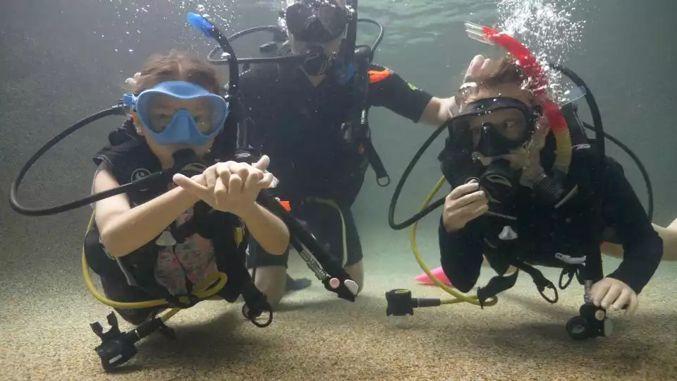 Cairns: Kids Scuba Diving Course | GetYourGuide