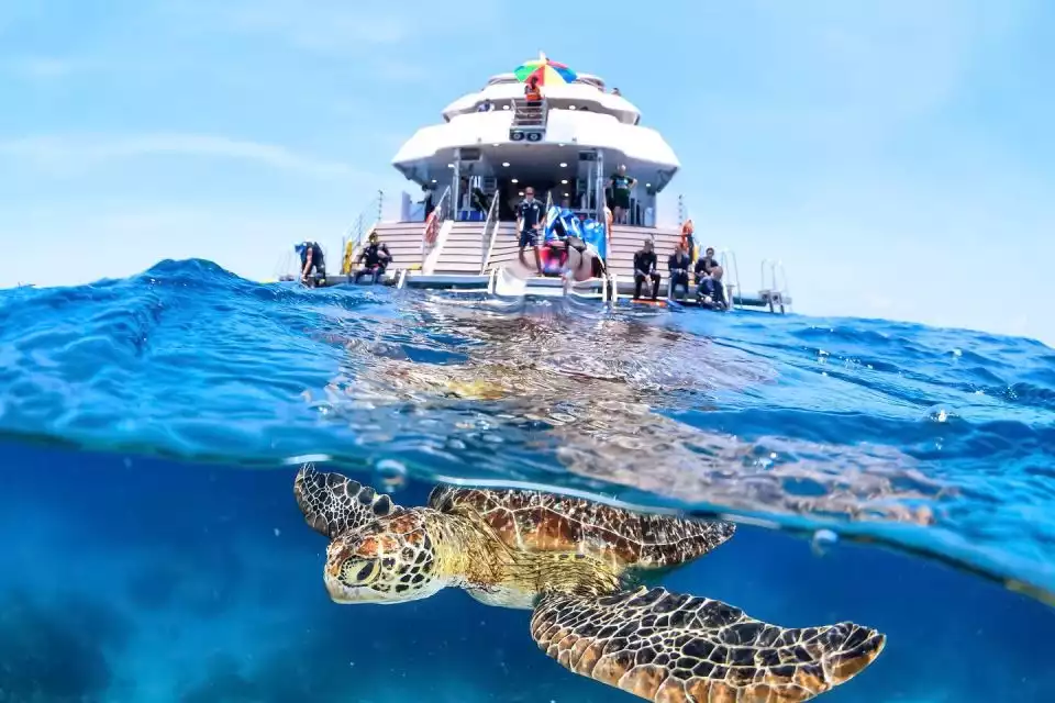 Cairns: Outer Great Barrier Reef Full-Day Tour with Lunch | GetYourGuide