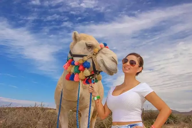 Camel Outback Adventure and Eco Farm from Los Cabos