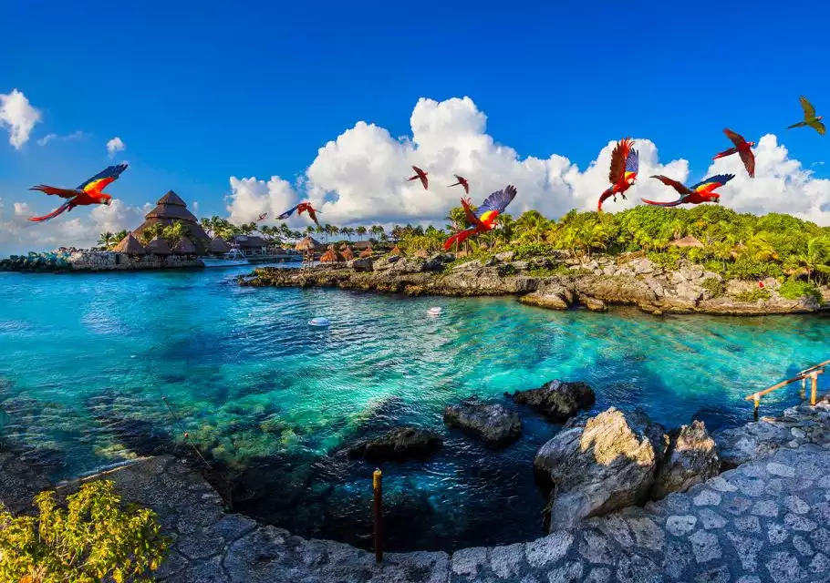 Cancun & Riviera Maya: Xcaret Plus with Buffet & Transport | GetYourGuide