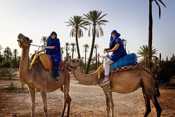 Casablanca to Marrakech Day Trip with Camel Ride