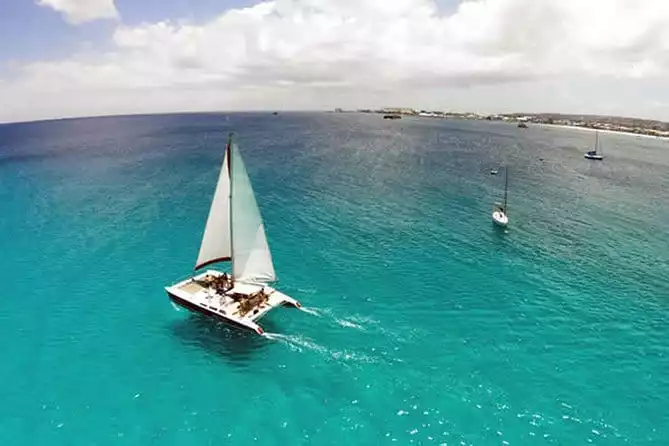 Barbados Catamaran Turtle Snorkel with Lunch and Open Bar 2022