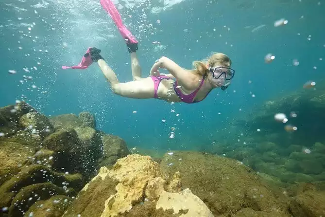 Champagne Reef, Bubble Beach and Scotts Head Snorkeling tour by boat in Dominica