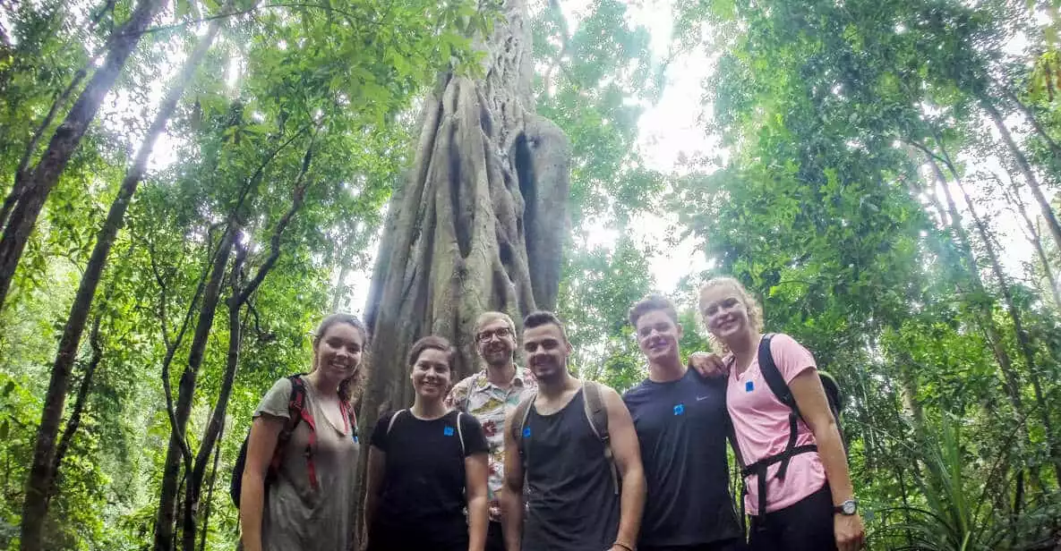 Chiang Mai: 6-Hour Doi Pui National Park Summit Hike | GetYourGuide