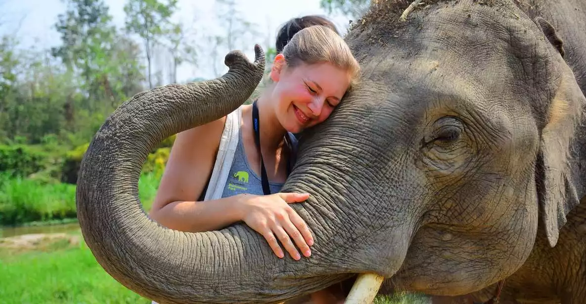 Chiang Mai: Elephant Care at Elephant Retirement Park | GetYourGuide